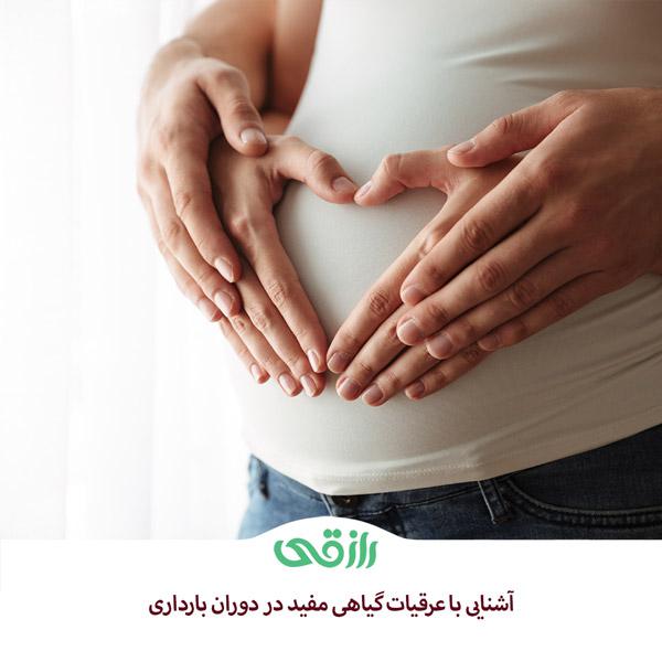 آشنایی با عرقیات گیاهی مفید در دوران بارداری